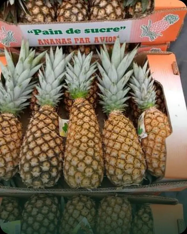 Pineapple